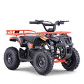 36V Electric 4-Wheeler for Kids L7185