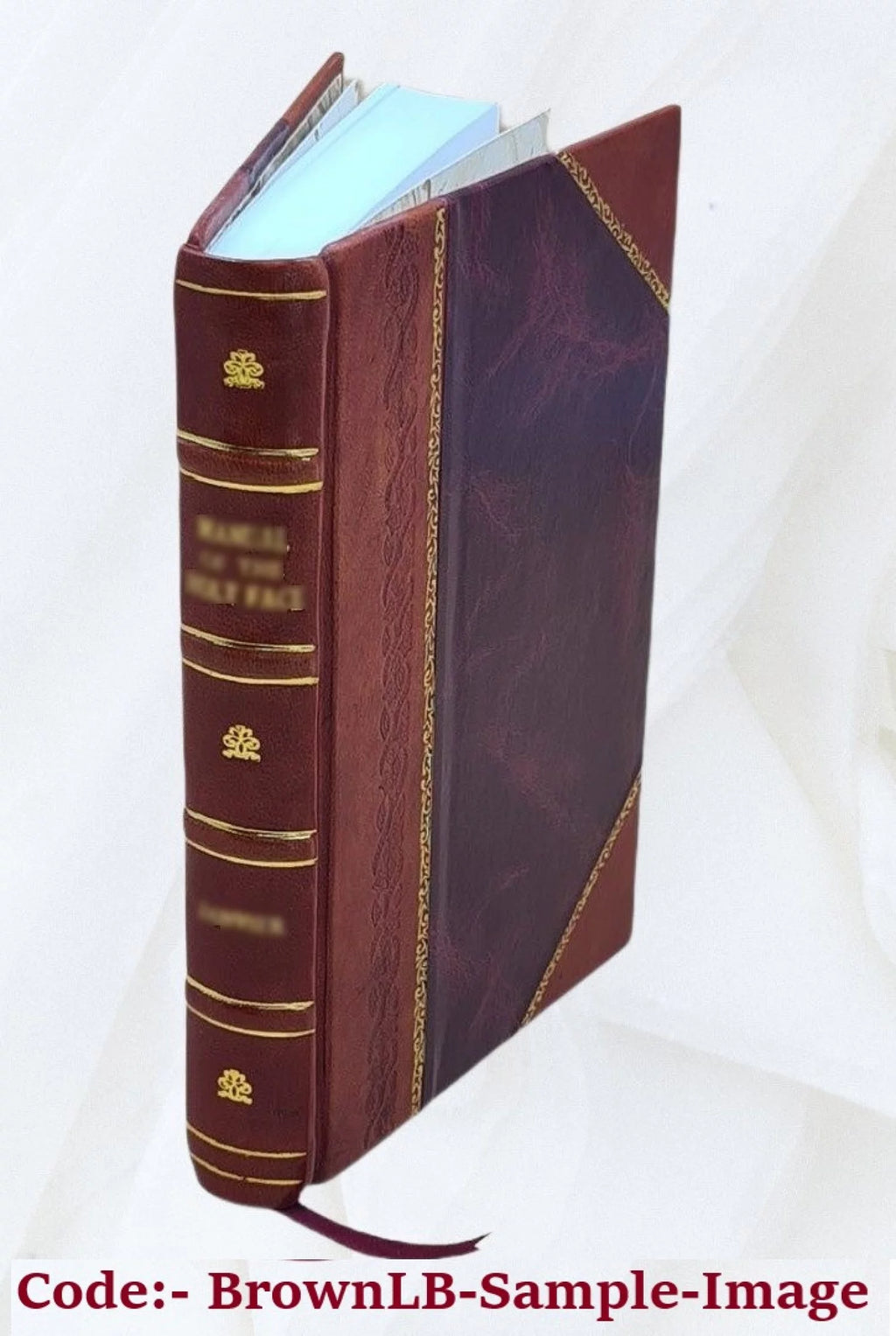Leather Bound E335